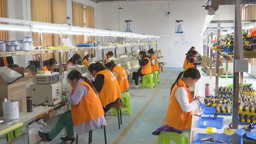 安龙电子借势订单式生产崛起，与百货电商双轮驱动成绩斐然
