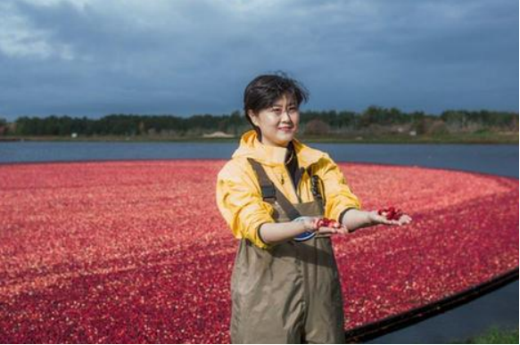 网易考拉海购勇立新零售潮头 聚合全球百货商超迎战最“洋气”双十一